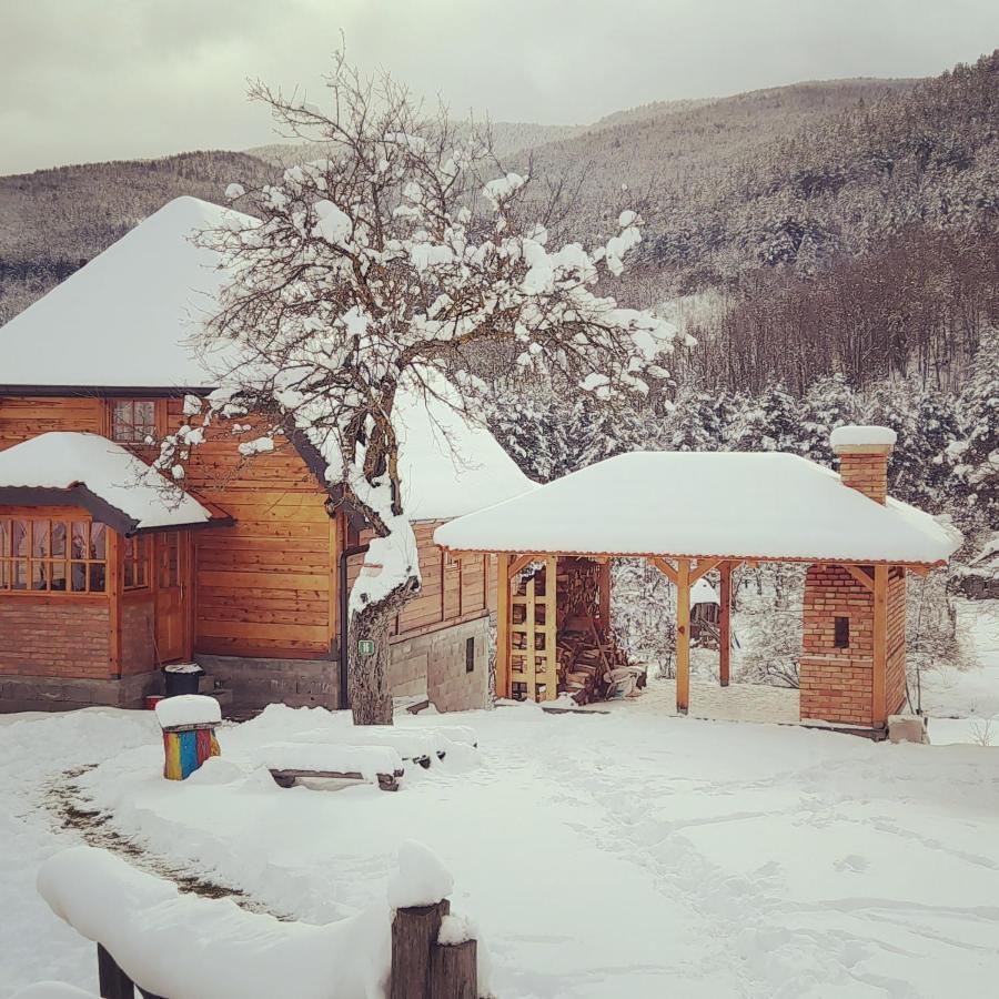 Kuca Karajic Villa Kremna Buitenkant foto