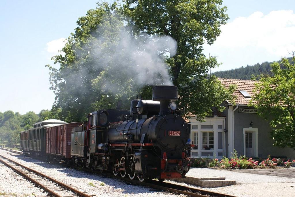 Kuca Karajic Villa Kremna Buitenkant foto